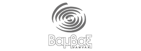 click for f2_Vamvax website
